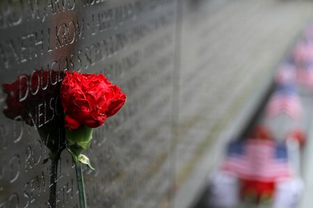 Remembrance washington dc gray memory photo