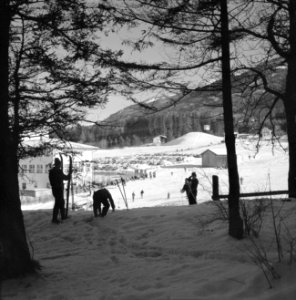 Gezicht op de wintersporters bij de skiliften naar de Patscherkofel, Bestanddeelnr 254-4337