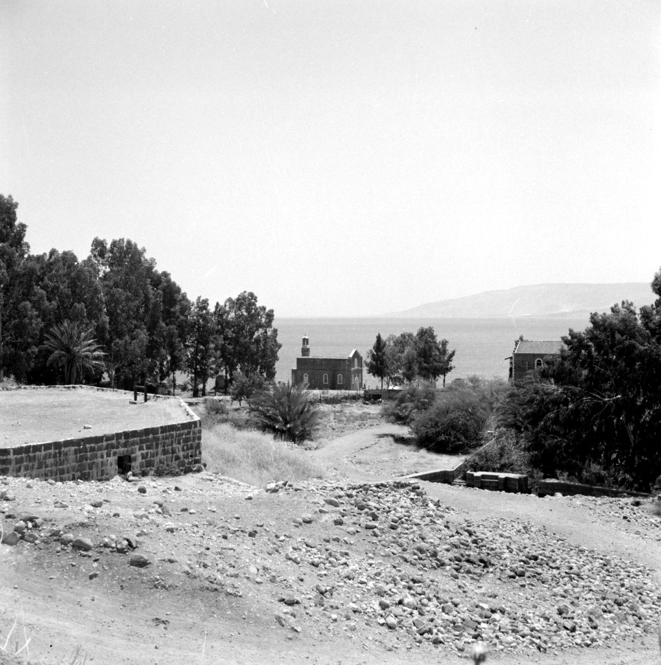Gezicht op het Meer van Tiberias bij Tabgha met de Petruskapel en enkele bomen, Bestanddeelnr 255-4152