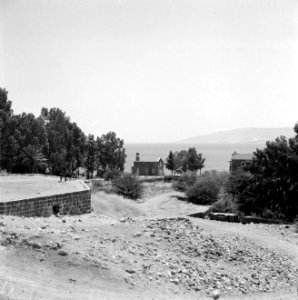Gezicht op het Meer van Tiberias bij Tabgha met de Petruskapel en enkele bomen, Bestanddeelnr 255-4152