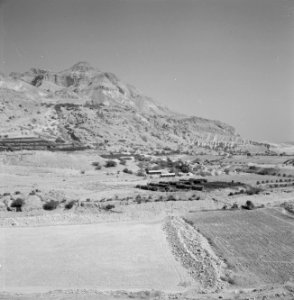 Gezicht op de kibboets Ein Gidi, Bestanddeelnr 255-2730