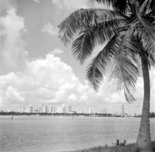Gezicht op Miami, Bestanddeelnr 191-0756