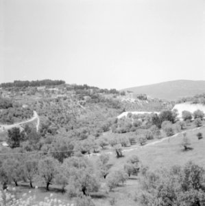 Gezicht op de heuvels bij Safad (Safed) met enkele gebouwen en met op de voorgr…, Bestanddeelnr 255-3973 photo