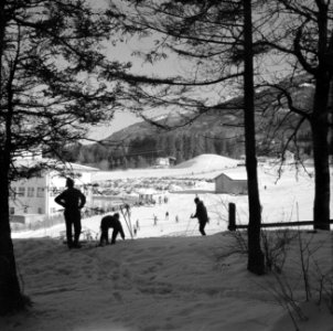 Gezicht op de wintersporters bij de skiliften naar de Patscherkofel, Bestanddeelnr 254-4338
