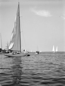 Gezicht op zeilboten op de Øresund gezien vanaf de Langelinie, Bestanddeelnr 190-0498