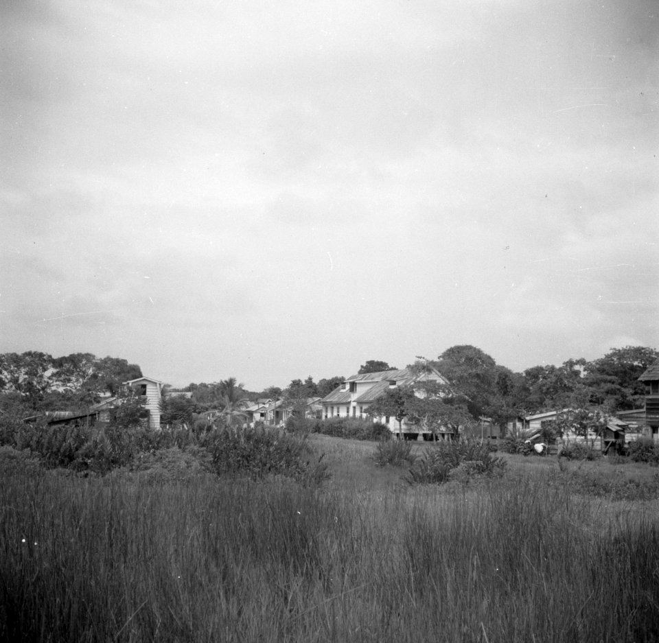 Gezicht op Nieuw-Amsterdam in het Commewijnegbeid in Suriname, Bestanddeelnr 252-6508