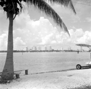 Gezicht op Miami, Bestanddeelnr 191-0757