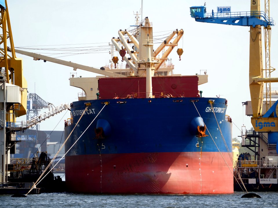 GH Storm Cat (ship, 2014) IMO 9663104, Port of Amsterdam pic2