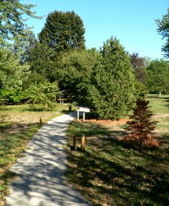 Gilman Park (Pierce, Nebraska) arboretum 1
