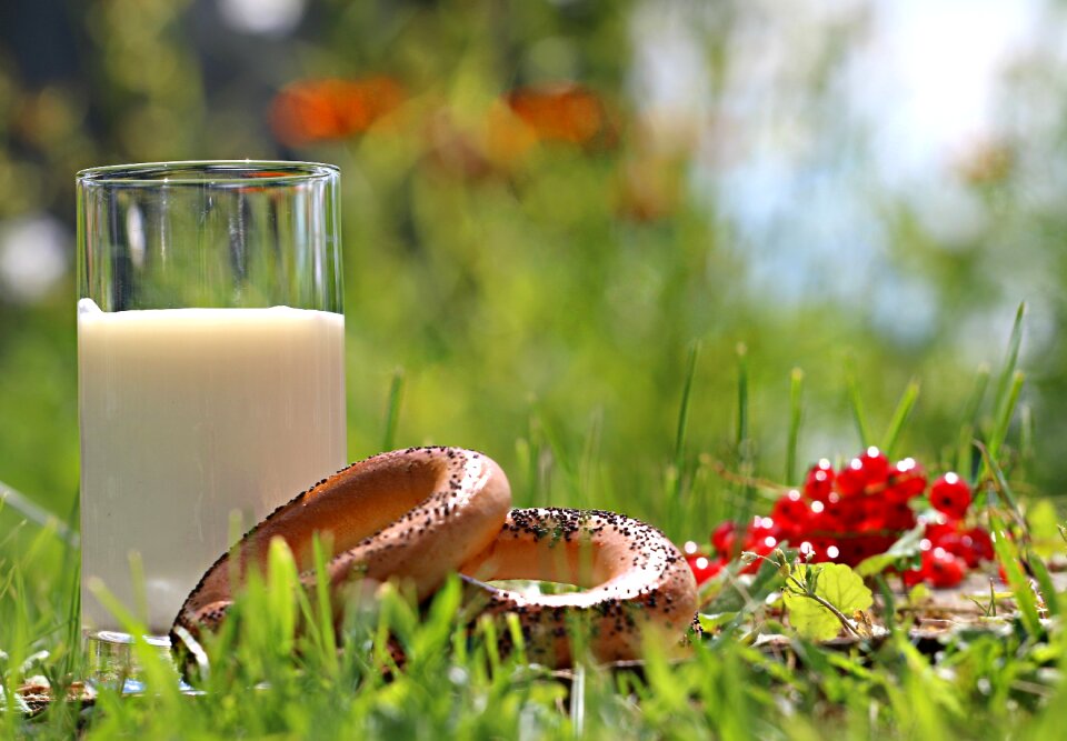 Grass village breakfast