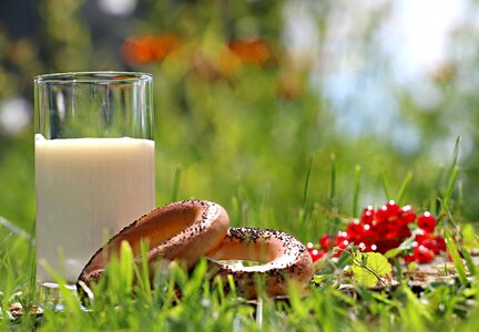 Grass village breakfast