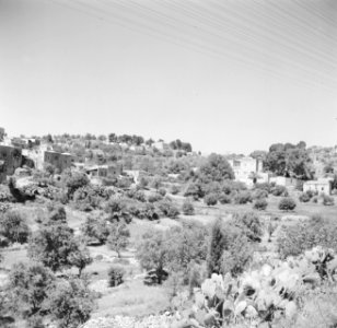 Gezicht op het tegen een heuvel gelegen dorp Abu Ghosh bij Jeruzalem, Bestanddeelnr 255-0882
