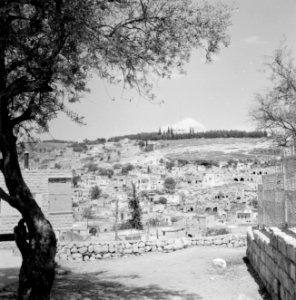 Gezicht op Mount Canaan bij Safad (Safed) vanaf de omliggende heuvels, Bestanddeelnr 255-3976 photo