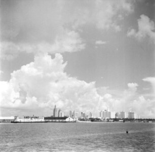 Gezicht op Miami, Bestanddeelnr 191-0759