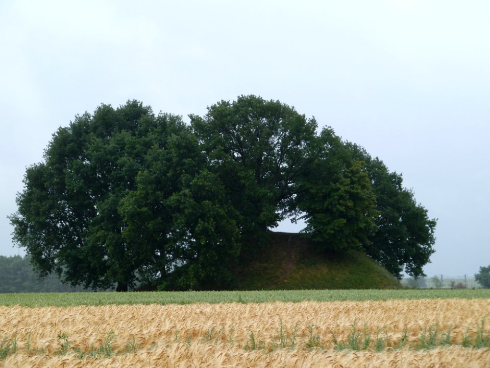Gingelom-Avernassetombe (2)