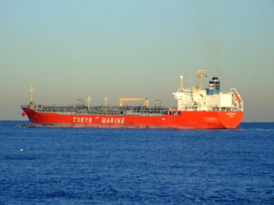 Ginga Cougar, Port of Rotterdam, Holland, 06Jan2009 pic2