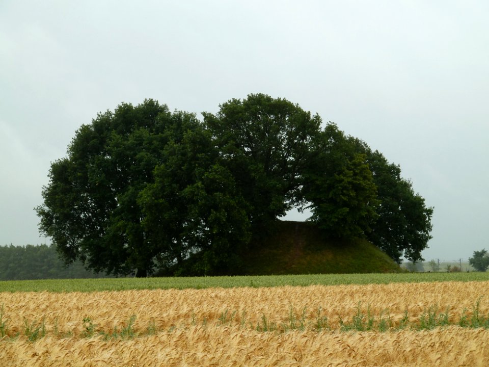 Gingelom-Avernassetombe (3)