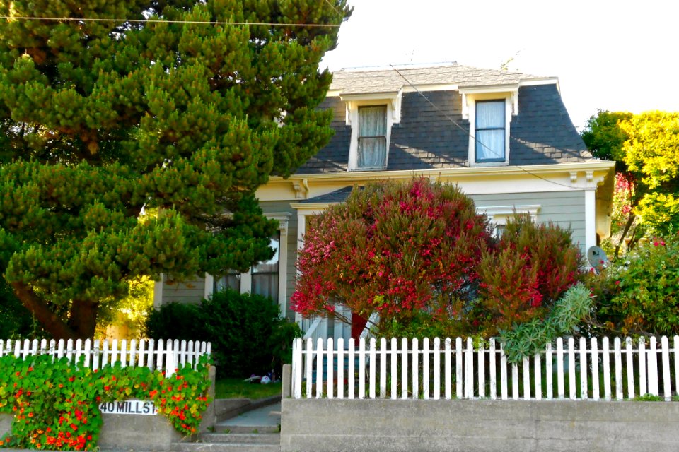 Gillmore House Point Arena CA