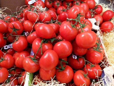 Market stall red mediterranean photo