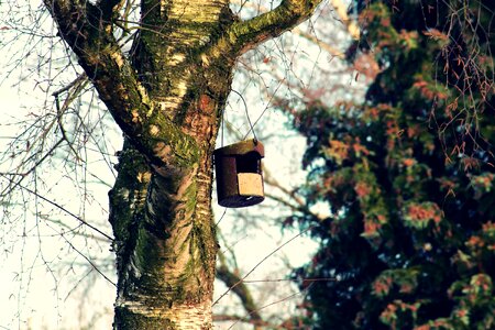 Nesting box nesting place nest photo