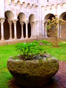 Girona - Ex Monasterio de Sant Pere de Galligants, claustro 10