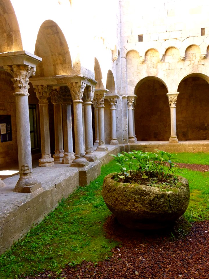 Girona - Ex Monasterio de Sant Pere de Galligants, claustro 09