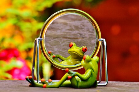 Mirroring cute funny