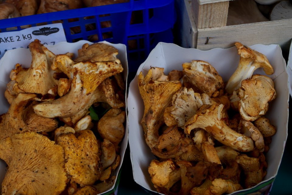 Girolles au marché
