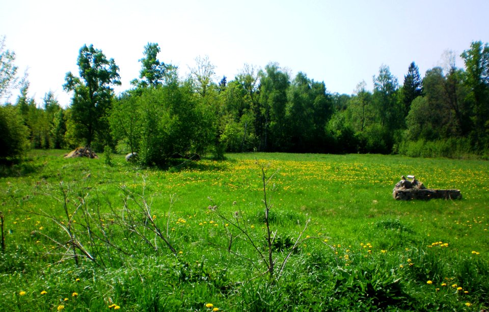 Girynė1