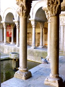 Girona - Catedral, claustro 01
