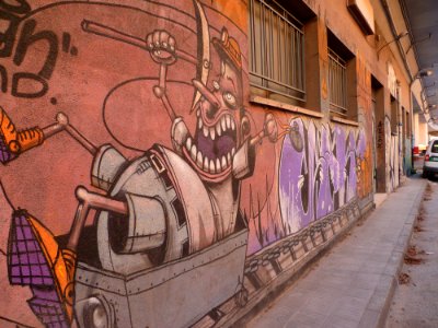 Girona - Carrer de Ferràn Soldevila i Zubiburu - 20110122 (2)