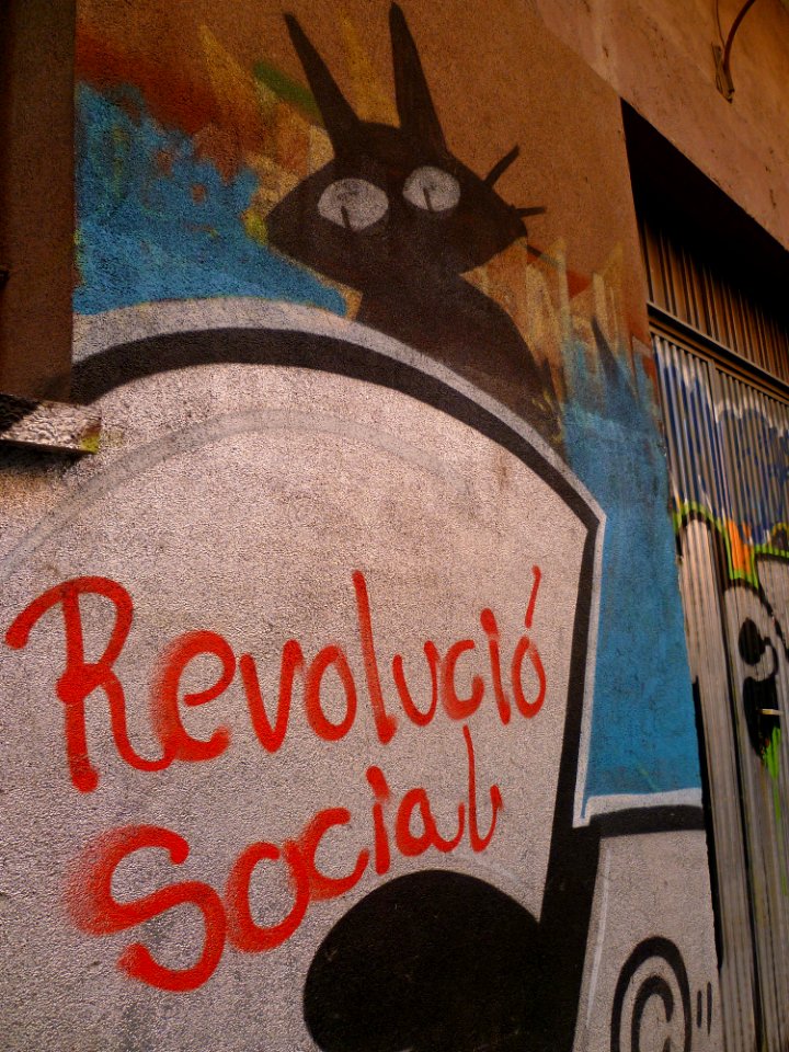 Girona - Carrer de Ferràn Soldevila i Zubiburu - 20110122 (1)