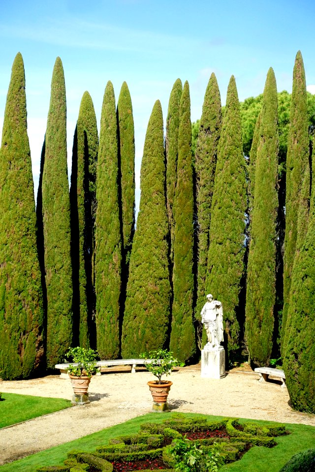 Giardini del Belvedere - Barberini Gardens - Castel Gandolfo - DSC04438