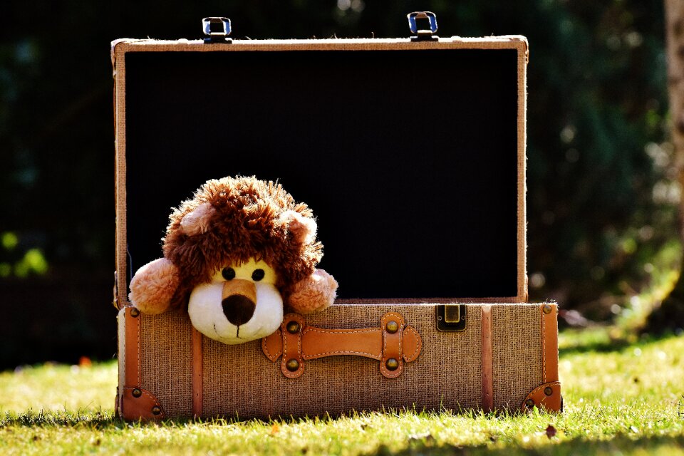 Funny toys stuffed animal
