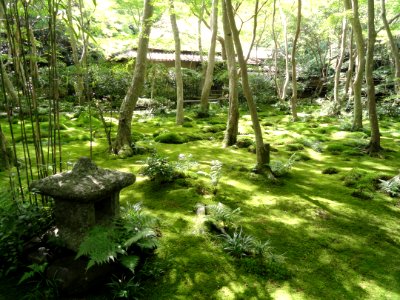 Giō-ji - Kyoto - DSC06270