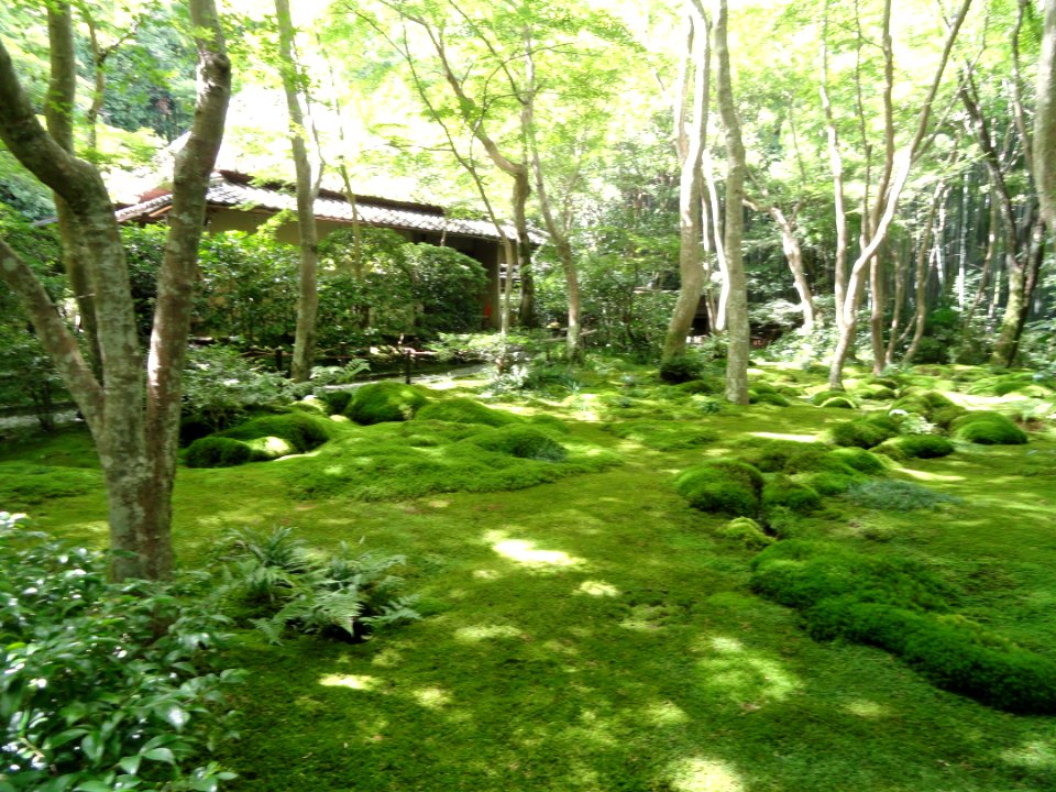 Giō-ji - Kyoto - DSC06265