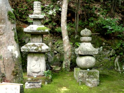 Giō-ji - Kyoto - DSC06291