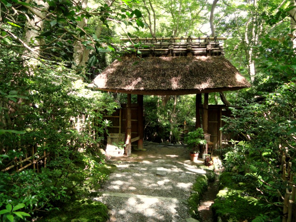Giō-ji - Kyoto - DSC06267
