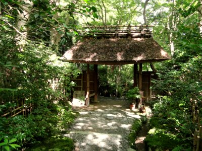 Giō-ji - Kyoto - DSC06267