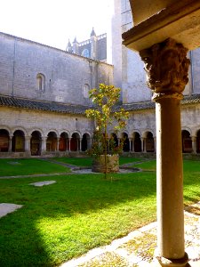 Girona - Catedral, claustro 18