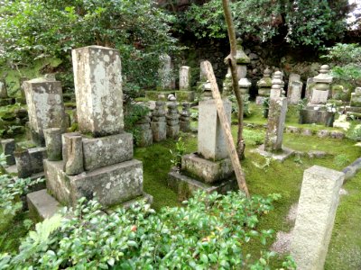 Giō-ji - Kyoto - DSC06289