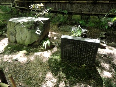 Giō-ji - Kyoto - DSC06280