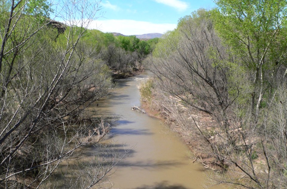 Gila River DS from Old Safford Rd bridge 1