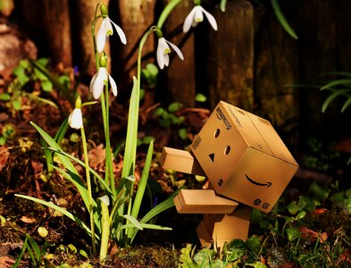 Danbo funny cute