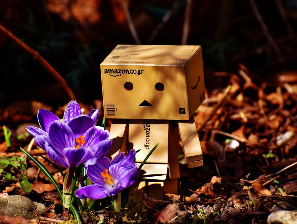 Figure nature flowers