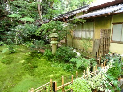 Giō-ji - Kyoto - DSC06285
