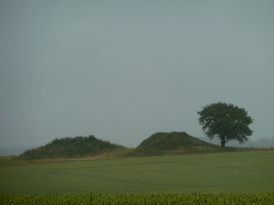 Gingelom-Twee Tommen (2)