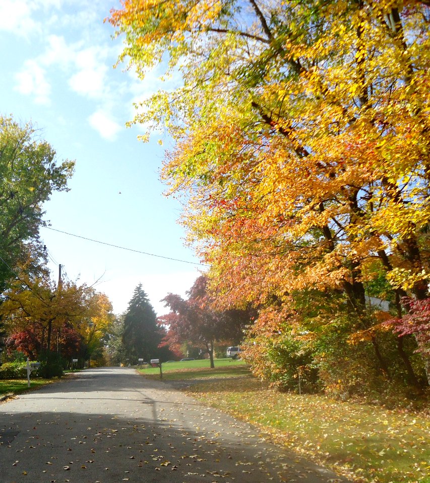 Gillette New Jersey road in autumn
