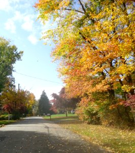 Gillette New Jersey road in autumn photo