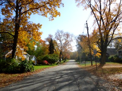 Gillette New Jersey residential road in autumn photo